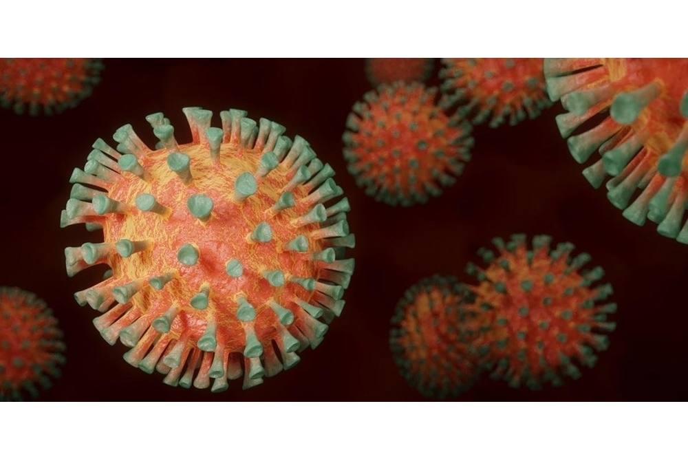 Coronavírus infecta e se replica em células das glândulas salivares
