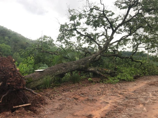 Moradores do interior de Ametista do Sul enfrentam dias sem Energia Elétrica